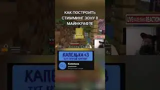 мы сошли с ума #майнкрафт #твичстрим #smp #minecraft #майнкрафтвыживание #стрим #игры #lore #мем
