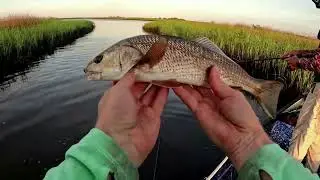 Summertime Redfishing