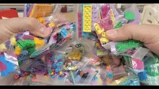 The Craziest LEGO Order Ever! I'm Sorry Topher!!!