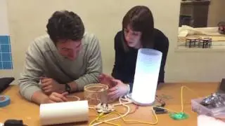 LUSH lamp