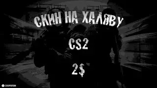 СКИН НА ХАЛЯВУ CS2? | CSGOPOLYGON