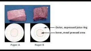 How to test the Water Holding Capacity of Meat