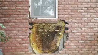 Mann entfernt Steine an seinem Haus und entdeckt DAS...