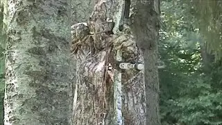Elusion Camo Absflection Vs  Old School Technology