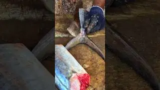 KASIMEDU 🔥VANJARAM FISH CUTTING #kasimedufishmarketlatest #kasimeduspeedselvam #shorts