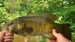 Oak Orchard SMALLMOUTH???