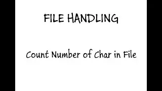 Count Number of Characters in File