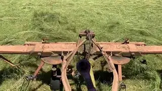 Haying 2021 -  June