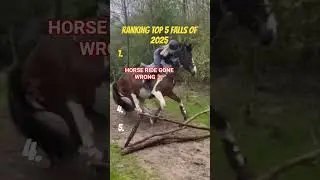 THESE ARE THE TOP 5 FALLS OF 2025 #funny #fails #2025 #falls