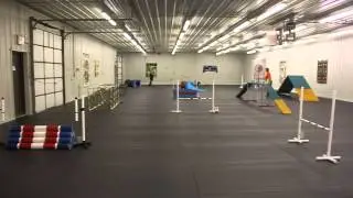 Pony Agility 1a Trial Two