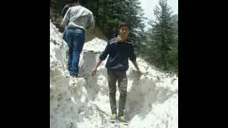 Nittani lions of hostel.