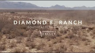How an Arizona Rancher Is Restoring 22,000 Acres & Saving Wildlife | Diamond E Ranch