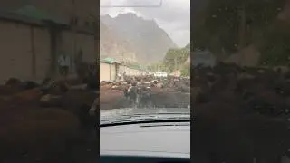 Дунё ғами ин, ғами он…