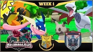 Skarmory Is Hazardous! | APA S5 W1 LIVE Battle | Durham Druddigons VS Boston Beedrills