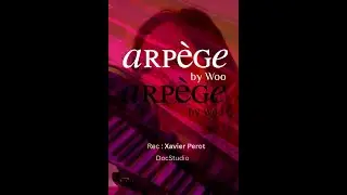 You are the reason - Arp&egrave;ge by Woo (calum Scott's cover)
