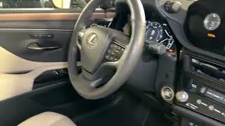2023 Lexus ES 250 Rockville, Potomac, Bethesda, DC, Gaithersburg MD