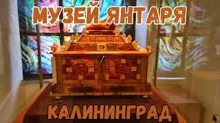 Музей янтаря. Калининград | Amber Museum. Kaliningrad