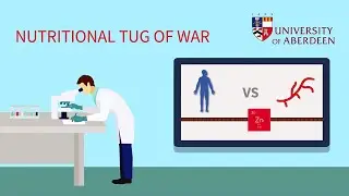 Nutritional Tug of War - The battle for micronutrients during fungal infections