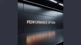 Performance Option