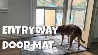 Which size to choose for this Pet Door Mat?