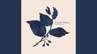 Finis (feat. Emilie-Claire Barlow)