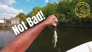 Freshwater Micro Jigging Made Easy