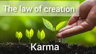 2nd law of karma  #stablevibes #Karmaquotes #lawofcreation