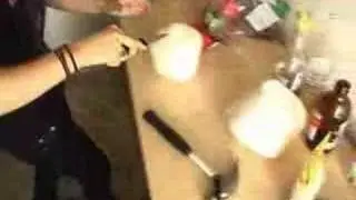 The Veronicas:  Lisa Vs. The Coconut
