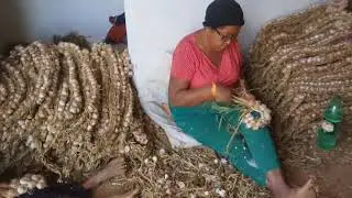 Como fazer uma r&eacute;stia de alho
