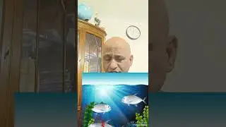 Adapt the environment and try to change