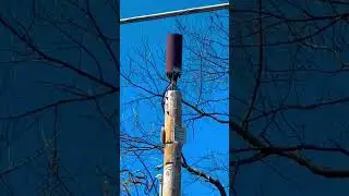 #5G #new#Technology #awesome #arrived #viral #Internet #USA #India #Pakistan #Viral￼￼