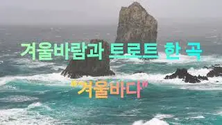 🎙겨울바람과 트로트 한 곡 🎶 [겨울바다]🎵 #트로트 #수노ai #트로트노래 #트로트명곡 #Ai트로트 #트로트가수