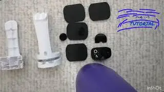 Emo Robot Makes a Bellabot Model