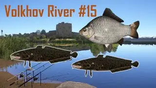 Russian Fishing 4 RF4  - Volkhov Spot  BURBOT  #15