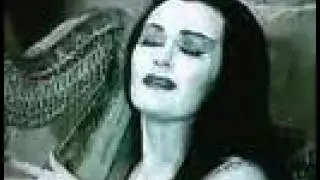 LILY MUNSTER