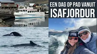 Een dag op pad vanuit Isafjordur Cruise haven (Nederlands gesproken)