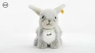 067488_Dormili Hase