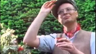 XTC - Wonderland