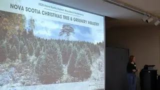 Lienna Hoeg- Christmas Trees in NS