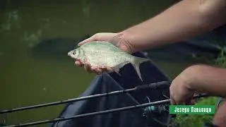 Reke i jezera ep. 40 09.09.2020. Jezero Pavlovci