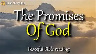 The Promises of God | Bible Verses To Receive Peace and Healing | Sleep with God's Word