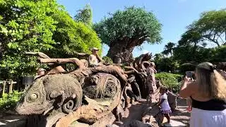 Disney&rsquo;s Winged Encounters at Animal Kingdom