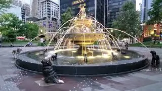 Toronto Berczy Park Dog Fountain