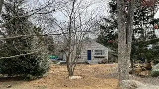 Moving Our Maple