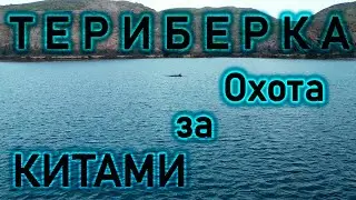 Териберка, охота за китами