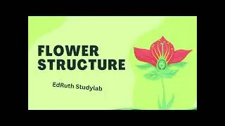 Parts/ structure of a flower 🌹🌹🌹 #chemistry  #biology  @chemistry