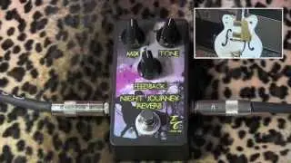 EC Pedals NIGHT JOURNEY Reverb pedal demo with White Falcon