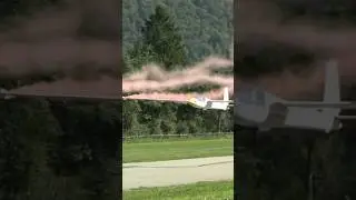 Landing of Gigantic RC Gliders