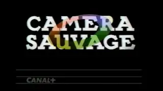 CANAL PLUS Jingle CAMERA SAUVAGE V2