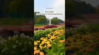 4 major Events in Delhi-NCR 2025 #shorts #ytshorts #event #delhi #india #explore #travel #newdelhi